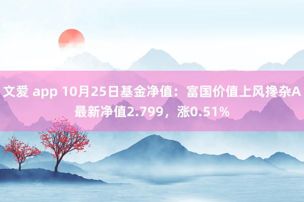 文爱 app 10月25日基金净值：富国价值上风搀杂A最新净值2.799，涨0.51%