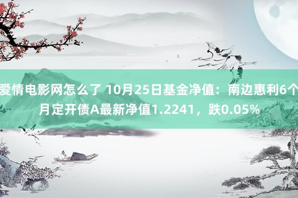 爱情电影网怎么了 10月25日基金净值：南边惠利6个月定开债A最新净值1.2241，跌0.05%