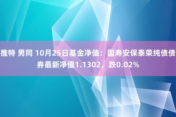 推特 男同 10月25日基金净值：国寿安保泰荣纯债债券最新净值1.1302，跌0.02%