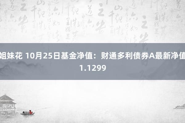 姐妹花 10月25日基金净值：财通多利债券A最新净值1.1299