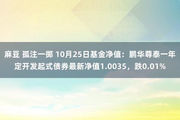 麻豆 孤注一掷 10月25日基金净值：鹏华尊泰一年定开发起式债券最新净值1.0035，跌0.01%