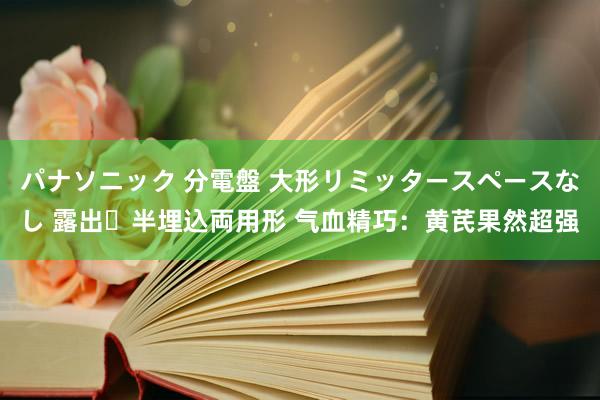 パナソニック 分電盤 大形リミッタースペースなし 露出・半埋込両用形 气血精巧：黄芪果然超强