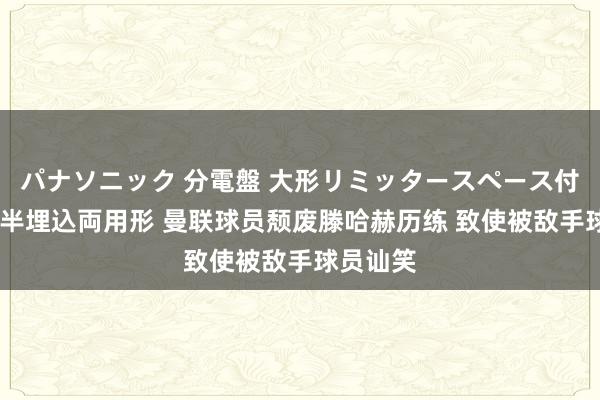 パナソニック 分電盤 大形リミッタースペース付 露出・半埋込両用形 曼联球员颓废滕哈赫历练 致使被敌手球员讪笑