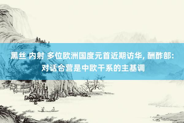 黑丝 内射 多位欧洲国度元首近期访华， 酬酢部: 对话合营是中欧干系的主基调