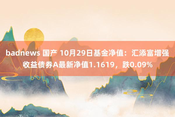 badnews 国产 10月29日基金净值：汇添富增强收益债券A最新净值1.1619，跌0.09%