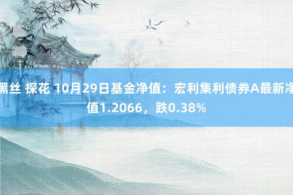 黑丝 探花 10月29日基金净值：宏利集利债券A最新净值1.2066，跌0.38%