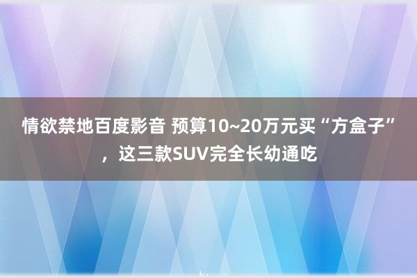 情欲禁地百度影音 预算10~20万元买“方盒子”，这三款SUV完全长幼通吃