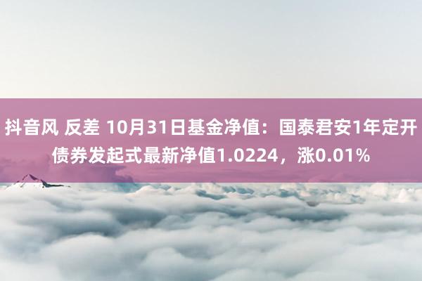 抖音风 反差 10月31日基金净值：国泰君安1年定开债券发起式最新净值1.0224，涨0.01%