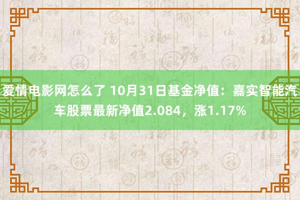 爱情电影网怎么了 10月31日基金净值：嘉实智能汽车股票最新净值2.084，涨1.17%