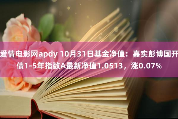 爱情电影网apdy 10月31日基金净值：嘉实彭博国开债1-5年指数A最新净值1.0513，涨0.07%