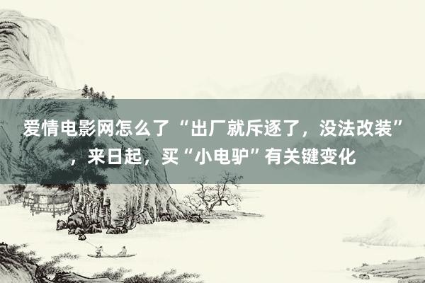 爱情电影网怎么了 “出厂就斥逐了，没法改装”，来日起，买“小电驴”有关键变化