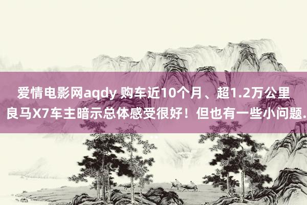 爱情电影网aqdy 购车近10个月、超1.2万公里，良马X7车主暗示总体感受很好！但也有一些小问题...