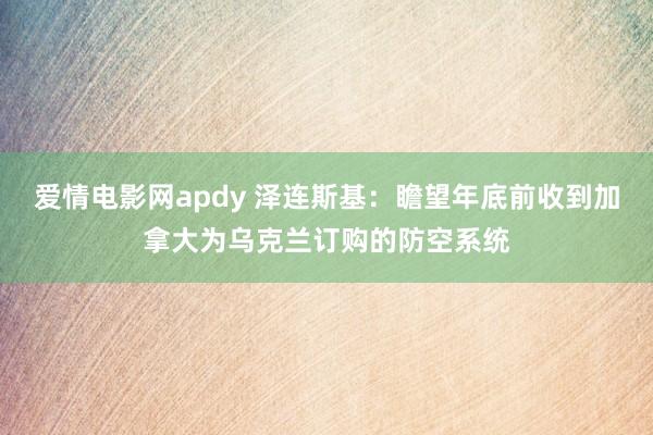 爱情电影网apdy 泽连斯基：瞻望年底前收到加拿大为乌克兰订购的防空系统