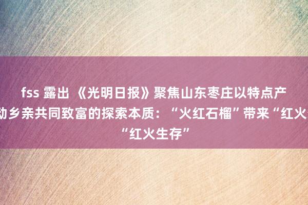 fss 露出 《光明日报》聚焦山东枣庄以特点产业带动乡亲共同致富的探索本质：“火红石榴”带来“红火生存”