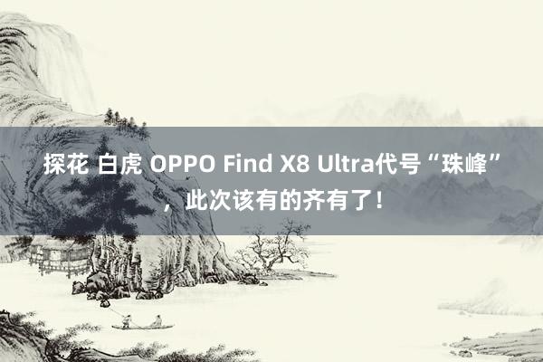 探花 白虎 OPPO Find X8 Ultra代号“珠峰”，此次该有的齐有了！