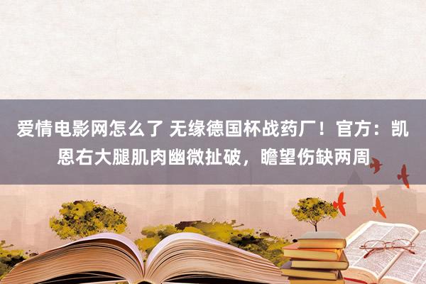 爱情电影网怎么了 无缘德国杯战药厂！官方：凯恩右大腿肌肉幽微扯破，瞻望伤缺两周