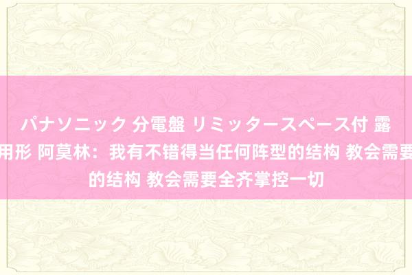 パナソニック 分電盤 リミッタースペース付 露出・半埋込両用形 阿莫林：我有不错得当任何阵型的结构 教会需要全齐掌控一切