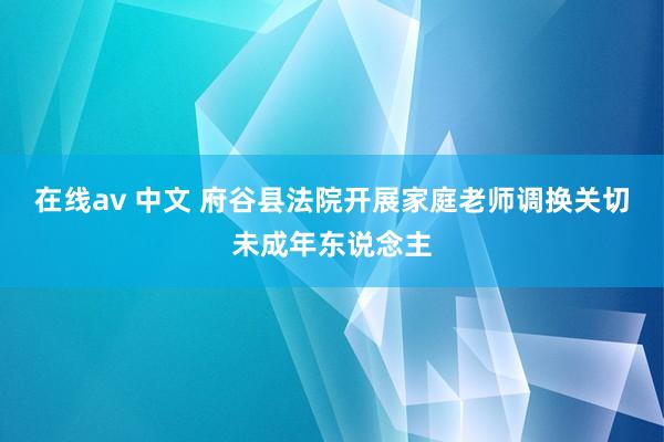 在线av 中文 府谷县法院开展家庭老师调换关切未成年东说念主