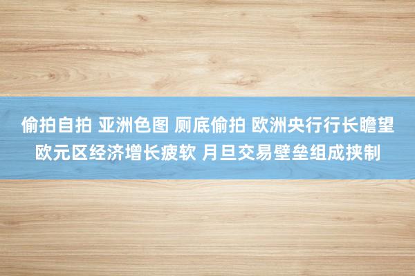 偷拍自拍 亚洲色图 厕底偷拍 欧洲央行行长瞻望欧元区经济增长疲软 月旦交易壁垒组成挟制