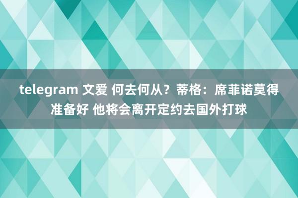 telegram 文爱 何去何从？蒂格：席菲诺莫得准备好 他将会离开定约去国外打球