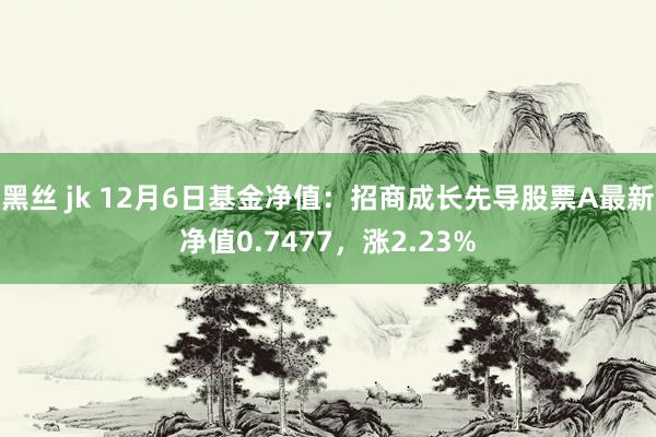 黑丝 jk 12月6日基金净值：招商成长先导股票A最新净值0.7477，涨2.23%