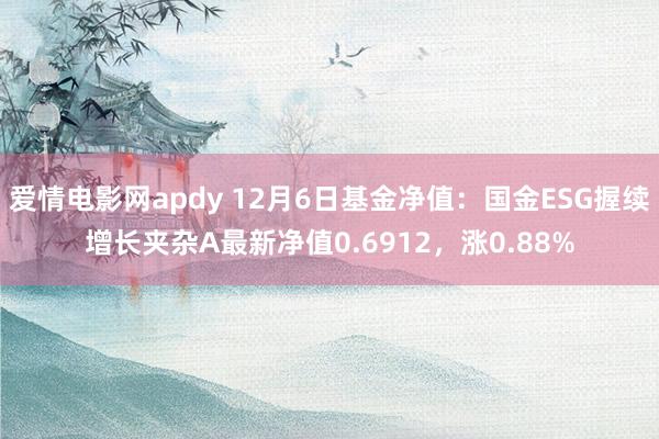 爱情电影网apdy 12月6日基金净值：国金ESG握续增长夹杂A最新净值0.6912，涨0.88%