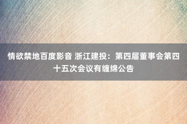 情欲禁地百度影音 浙江建投：第四届董事会第四十五次会议有缠绵公告