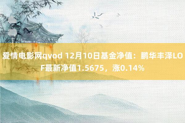 爱情电影网qvod 12月10日基金净值：鹏华丰泽LOF最新净值1.5675，涨0.14%