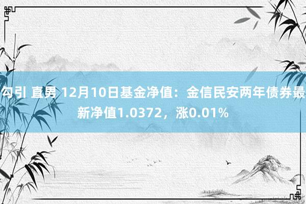 勾引 直男 12月10日基金净值：金信民安两年债券最新净值1.0372，涨0.01%