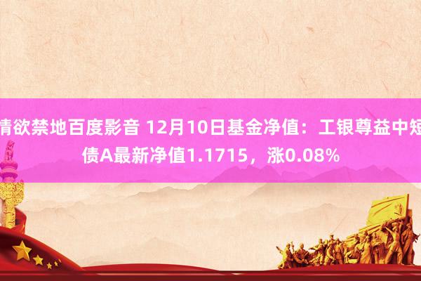 情欲禁地百度影音 12月10日基金净值：工银尊益中短债A最新净值1.1715，涨0.08%