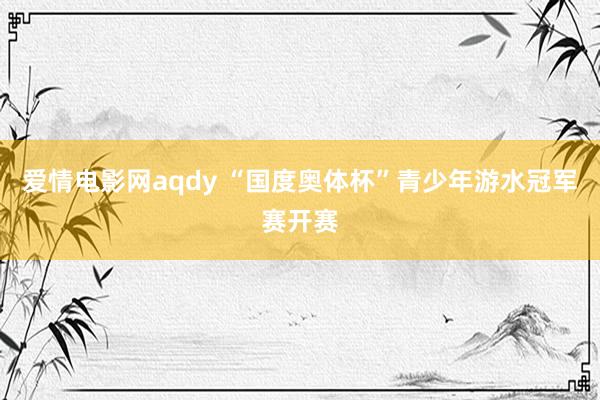 爱情电影网aqdy “国度奥体杯”青少年游水冠军赛开赛