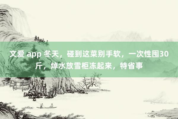 文爱 app 冬天，碰到这菜别手软，一次性囤30斤，焯水放雪柜冻起来，特省事