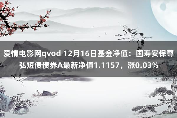 爱情电影网qvod 12月16日基金净值：国寿安保尊弘短债债券A最新净值1.1157，涨0.03%