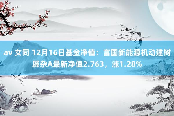 av 女同 12月16日基金净值：富国新能源机动建树羼杂A最新净值2.763，涨1.28%