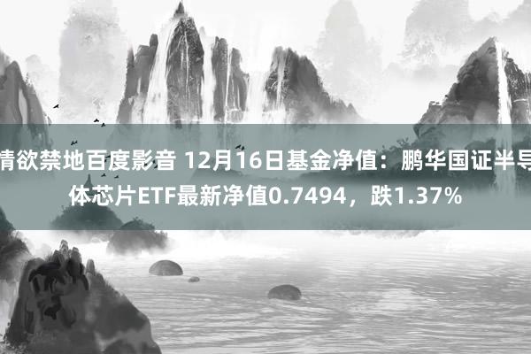 情欲禁地百度影音 12月16日基金净值：鹏华国证半导体芯片ETF最新净值0.7494，跌1.37%