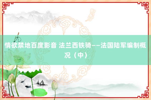 情欲禁地百度影音 法兰西铁骑——法国陆军编制概况（中）