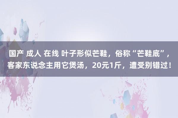 国产 成人 在线 叶子形似芒鞋，俗称“芒鞋底”，客家东说念主用它煲汤，20元1斤，<a href=