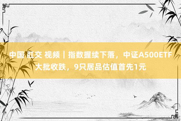 中国 肛交 视频｜指数握续下落，中证A500ETF大批收跌，9只居品估值首先1元