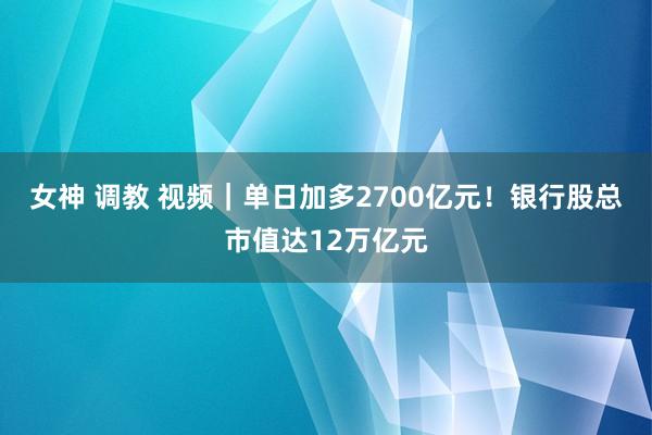 女神 调教 视频｜单日加多2700亿元！银行股总市值达12万亿元