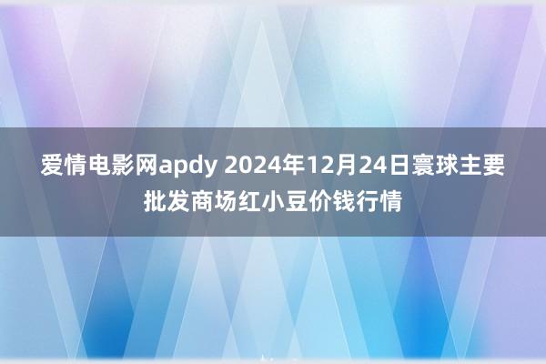 爱情电影网apdy 2024年12月24日寰球主要批发商场红小豆价钱行情