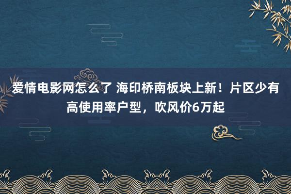 爱情电影网怎么了 海印桥南板块上新！片区少有高使用率户型，吹风价6万起