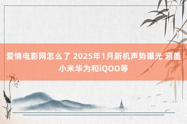 爱情电影网怎么了 2025年1月新机声势曝光 涵盖小米华为和iQOO等