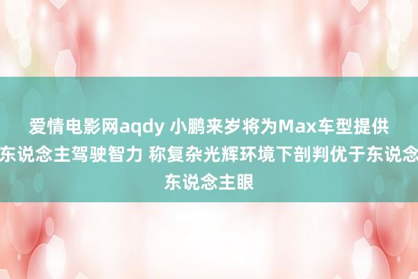 爱情电影网aqdy 小鹏来岁将为Max车型提供类无东说念主驾驶智力 称复杂光辉环境下剖判优于东说念主眼