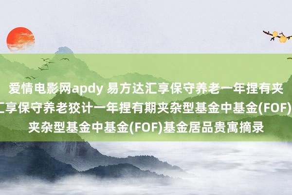 爱情电影网apdy 易方达汇享保守养老一年捏有夹杂(FOF): 易方达汇享保守养老狡计一年捏有期夹杂型基金中基金(FOF)基金居品贵寓摘录