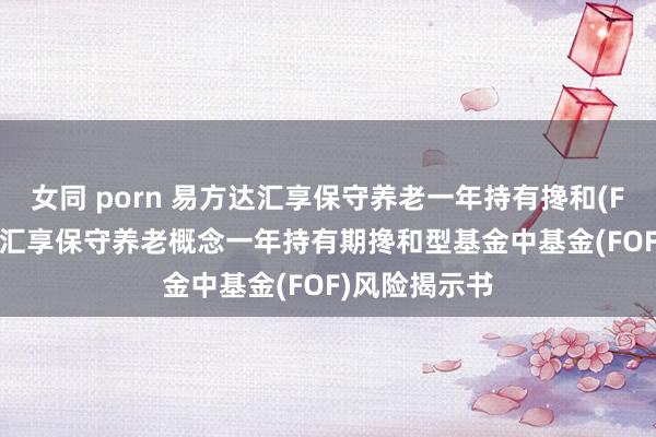 女同 porn 易方达汇享保守养老一年持有搀和(FOF): 易方达汇享保守养老概念一年持有期搀和型基金中基金(FOF)风险揭示书