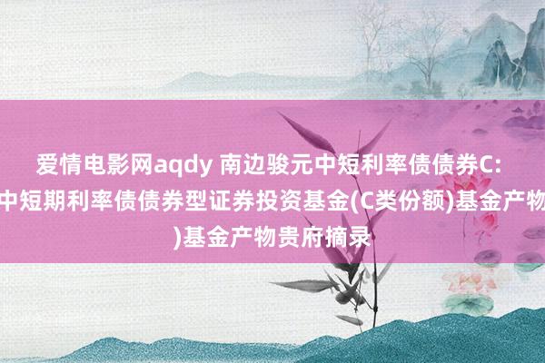 爱情电影网aqdy 南边骏元中短利率债债券C: 南边骏元中短期利率债债券型证券投资基金(C类份额)基金产物贵府摘录