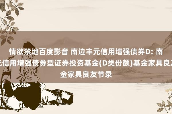 情欲禁地百度影音 南边丰元信用增强债券D: 南边丰元信用增强债券型证券投资基金(D类份额)基金家具良友节录