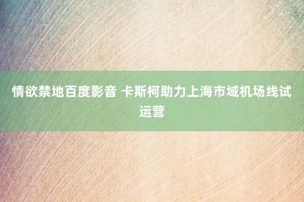 情欲禁地百度影音 卡斯柯助力上海市域机场线试运营