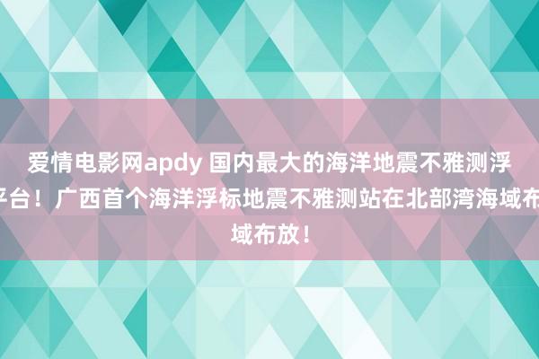 爱情电影网apdy 国内最大的海洋地震不雅测浮标平台！广西首个海洋浮标地震不雅测站在北部湾海域布放！