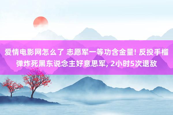 爱情电影网怎么了 志愿军一等功含金量! 反投手榴弹炸死黑东说念主好意思军， 2小时5次退敌